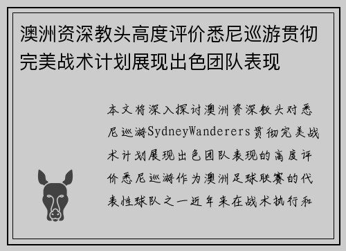澳洲资深教头高度评价悉尼巡游贯彻完美战术计划展现出色团队表现