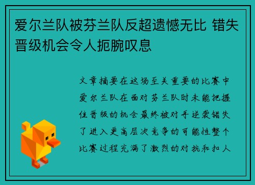 爱尔兰队被芬兰队反超遗憾无比 错失晋级机会令人扼腕叹息