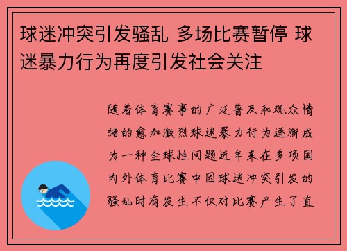 球迷冲突引发骚乱 多场比赛暂停 球迷暴力行为再度引发社会关注